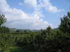 frutteto