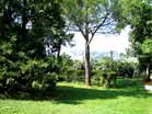 giardino padronale 1