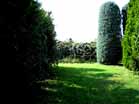 giardino padronale 2
