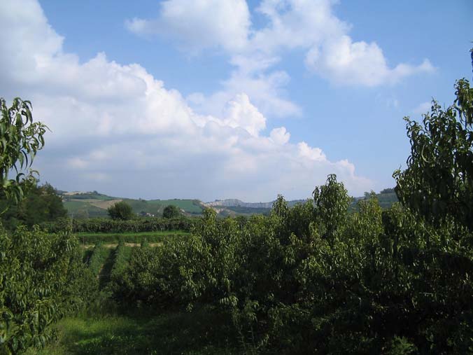 frutteto